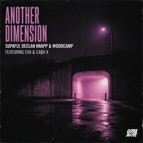 SupaFly x Declan Knapp x Woodcamp - Another Dimension (feat. EVA & Ca$h X)